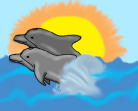 dolphins.jpg